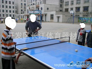 体验极致对决 红双喜高档室外乒乓球台的完美选择