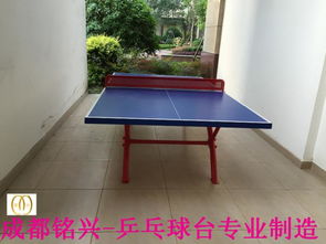 资阳乒乓球台选购指南 品牌推荐与现货优势解析